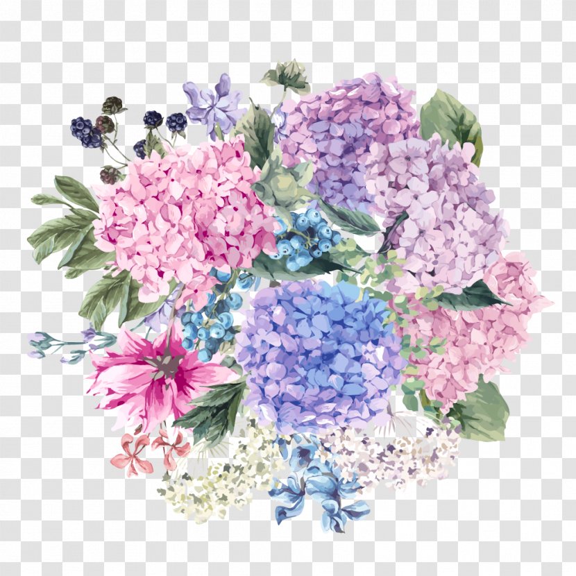 French Hydrangea Cut Flowers Floral Design - Hydrangeaceae - Flower Transparent PNG