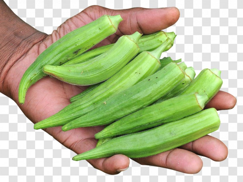 Vegetarian Cuisine Okra Vegetable Goan Tea Transparent PNG