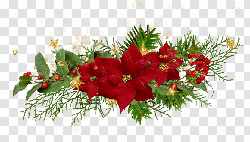 Christmas Flower Desktop Wallpaper Poinsettia - Advent Candle - Noel Transparent PNG
