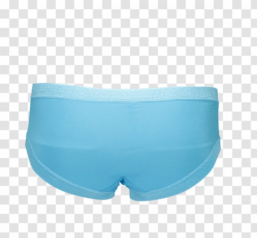 Swim Briefs Trunks Underpants - Frame - Blue Rose Transparent PNG