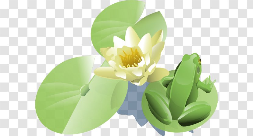 Clip Art - Water Lilies - Lily Pad Transparent PNG