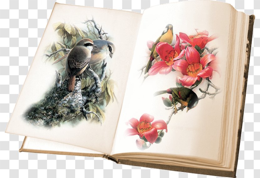 Book Image Bird Clip Art Painting - Blog Transparent PNG