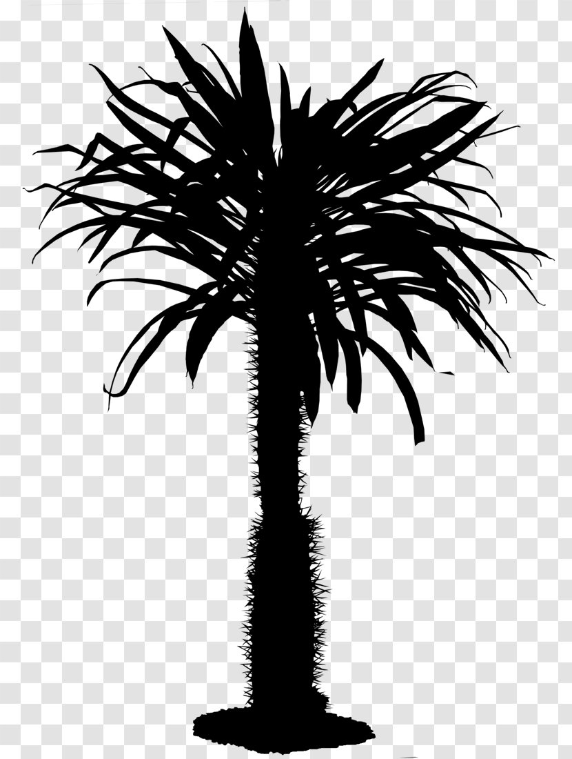 Fierce And Associates Real Estate Fort Lauderdale Agent Miami - Trunk - Palm Tree Transparent PNG