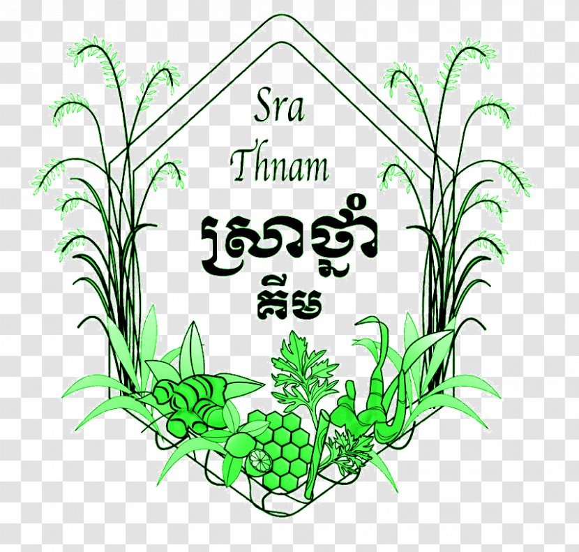 Sra Thnam House Clip Art Grasses Medicinal Plants Plant Stem - Organism - Scenic Images Of Peace And Serenity Transparent PNG