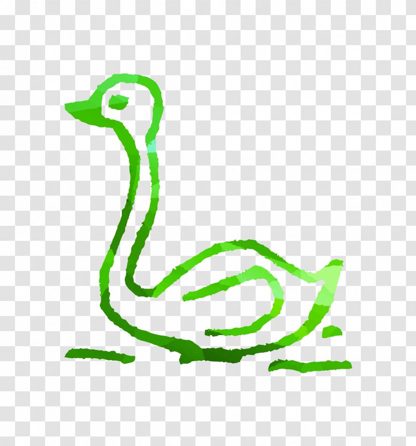 Coloring Book Cygnini Drawing Child Line Art - Water Bird - Swan Transparent PNG