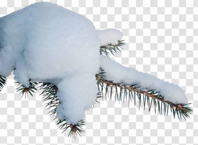 Snow Clip Art - Photography - Thick Transparent PNG