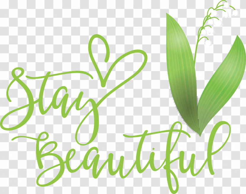 Stay Beautiful Fashion Transparent PNG