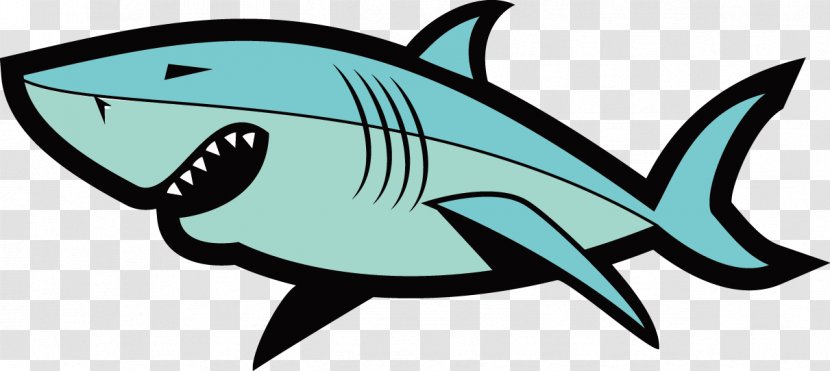 Requiem Shark Cartoon Clip Art - Drawing - Vector Illustration Transparent PNG