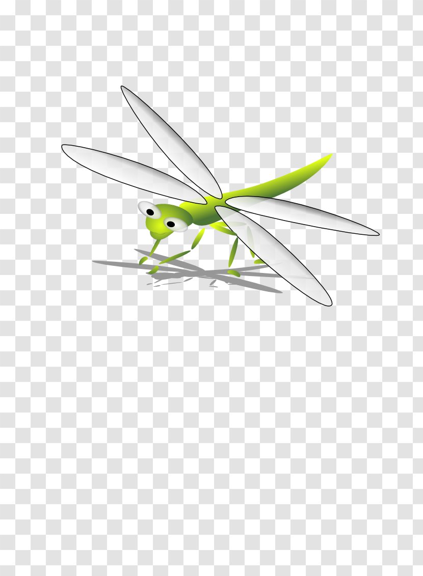 Dragonfly Clip Art - Invertebrate Transparent PNG