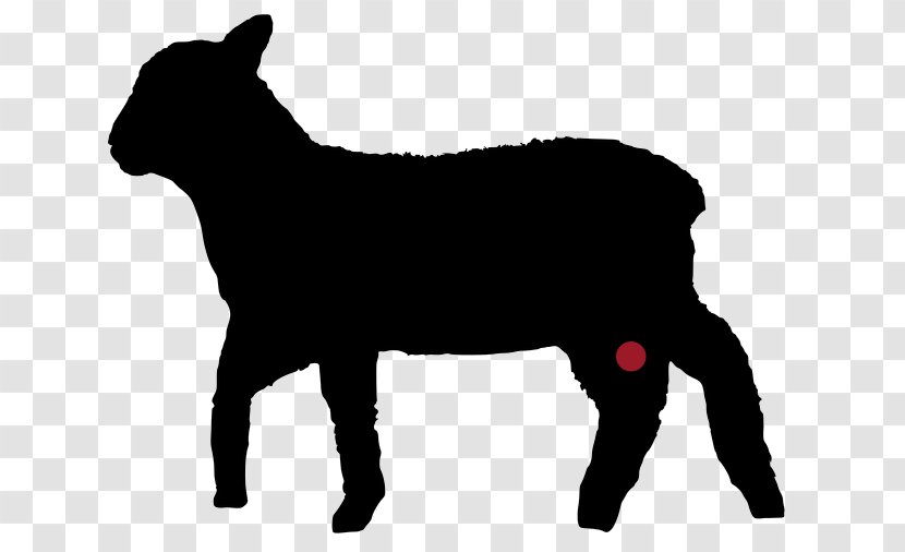 Cattle Sheep Agneau Lamb And Mutton Chateaubriand Steak - Dog Like Mammal Transparent PNG