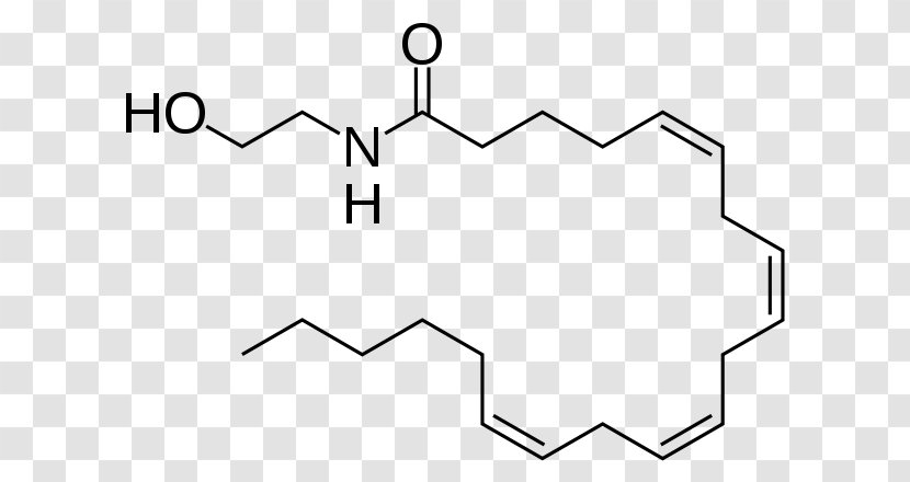 Anandamide Molecule Tetrahydrocannabinol Cannabinoid Receptor Endocannabinoid System - Neurotransmitter - Brain Transparent PNG