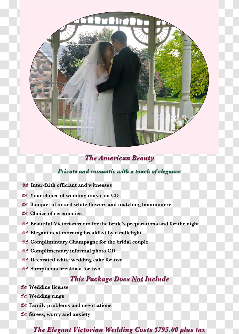 GnuWin32 Wedding Installation Information Transparent PNG