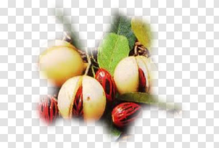 Natural Foods Superfood Fruit Nutmeg - Sec Transparent PNG