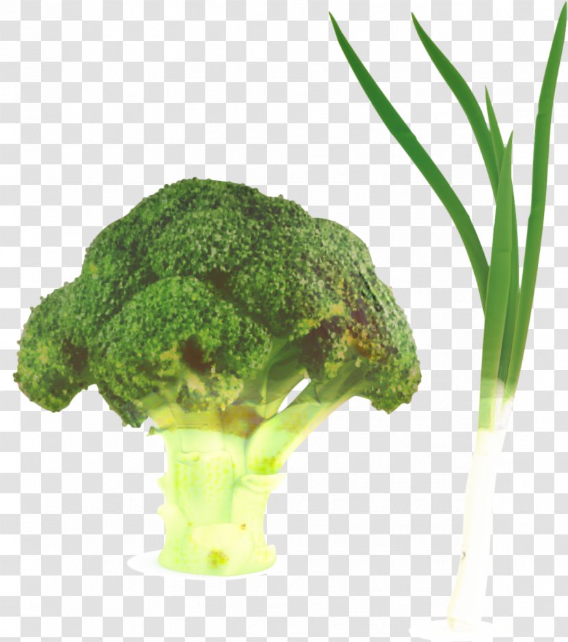 Vegetables Cartoon - Plants - Flower Food Transparent PNG