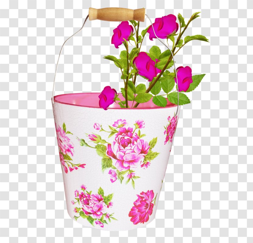 Floral Design Flower Clip Art Image - Rose Family Transparent PNG