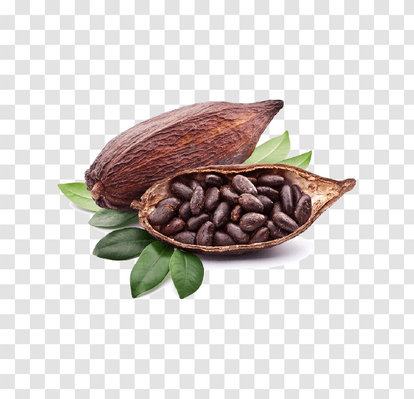 Criollo Cocoa Bean Solids Chocolate Liquor - Beans Transparent PNG