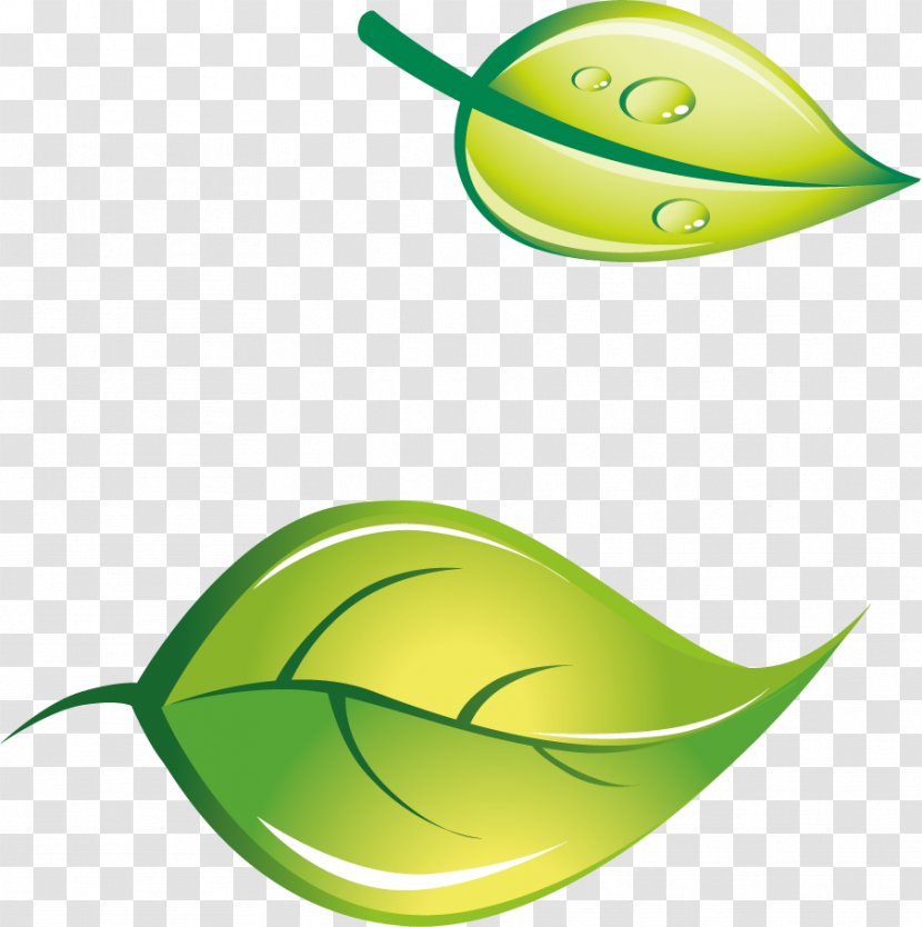 Logo Green - Template - Vector Decorative Tea Transparent PNG