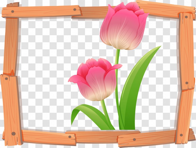 Flower Clip Art - Stock Photography - Vector Hand-painted Tulip Transparent PNG