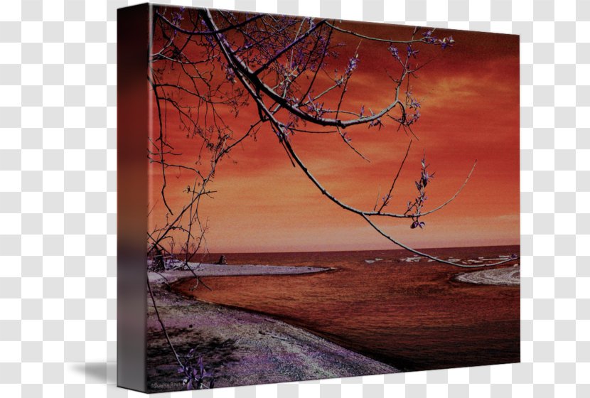 Painting Wood Tree Picture Frames /m/083vt - Beach At Sunset Transparent PNG
