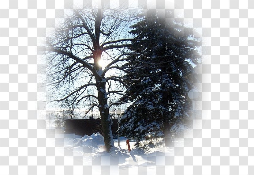Winter Painting Snow Brush Frost - Paysage Restaurant - Boar Transparent PNG