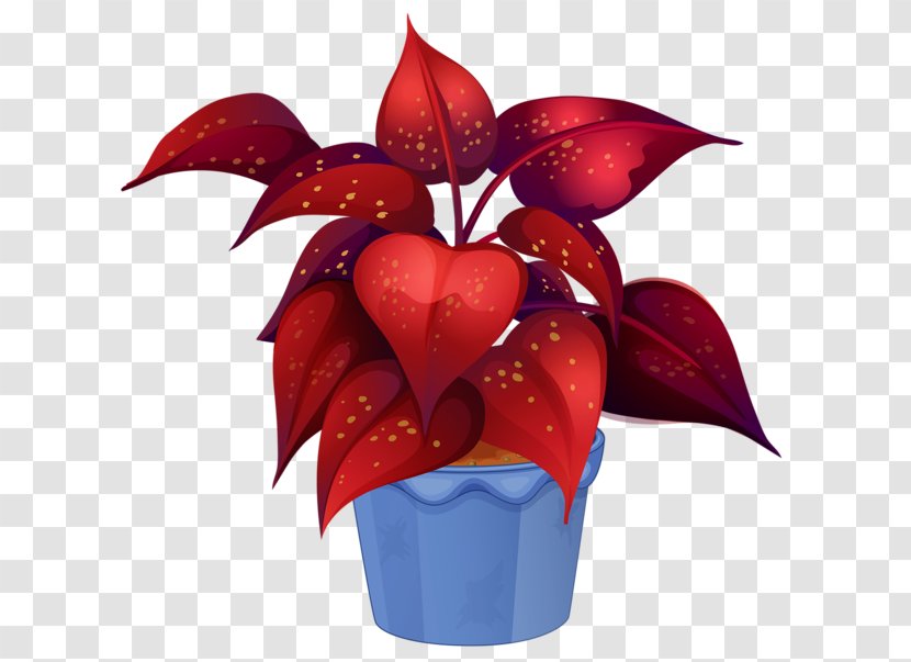 Ornamental Plant Royalty-free Houseplant Garden - Flower Transparent PNG