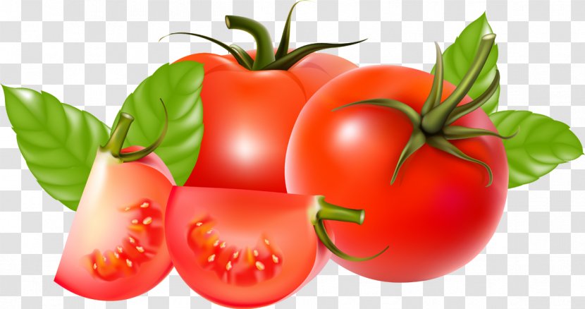 Cherry Tomato Ketchup Sauce Vegetable Transparent PNG