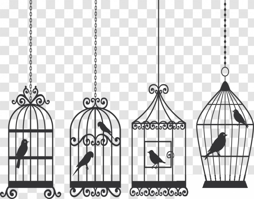 Birdcage Lovebird - Stock Photography - Arabesco Transparent PNG