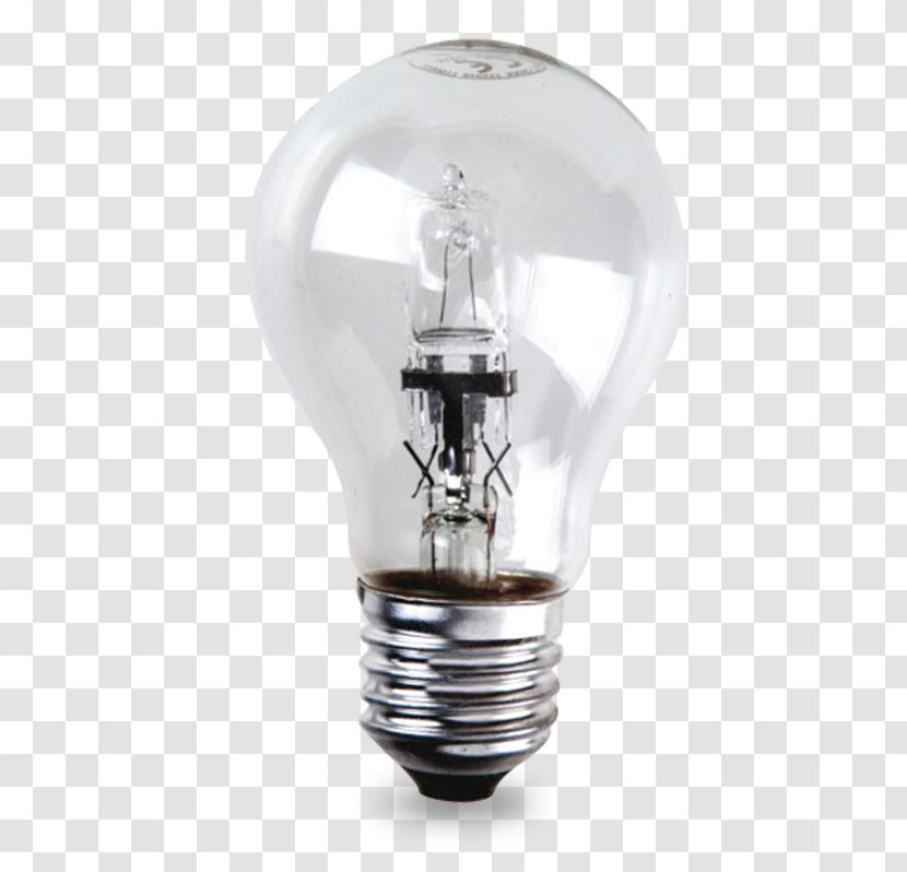 Incandescent Light Bulb Edison Screw Lighting Halogen Candle - Lamba Transparent PNG
