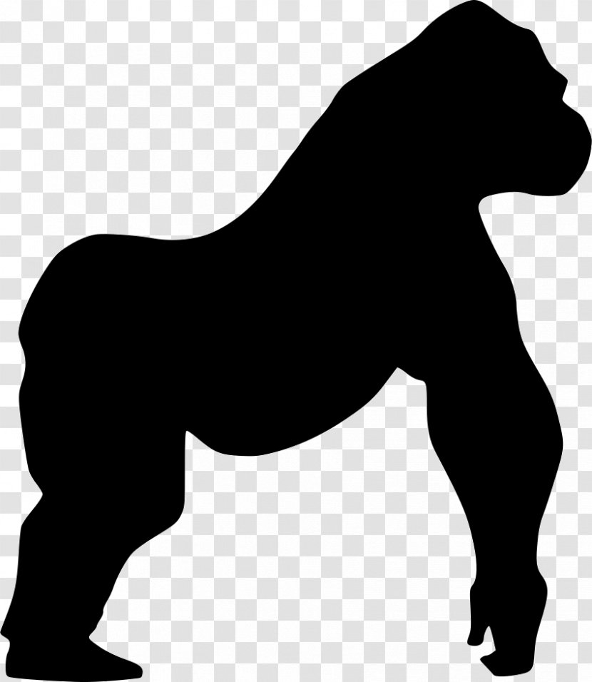 Mountain Gorilla Horse Wall Decal - Wildlife Transparent PNG