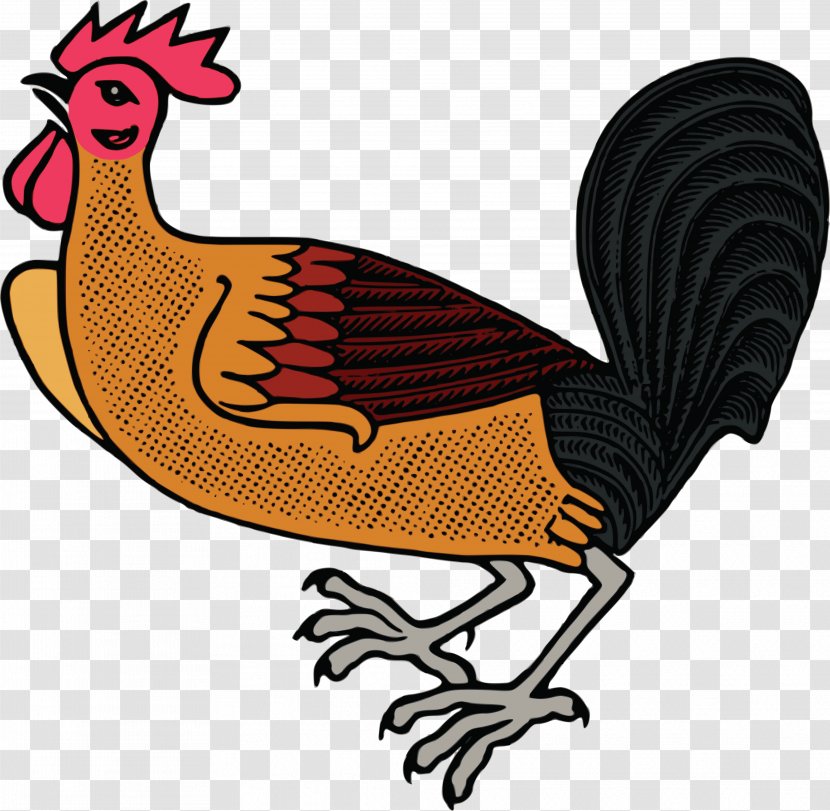 Wyandotte Chicken Leghorn Red Shaver Rooster Clip Art Transparent PNG