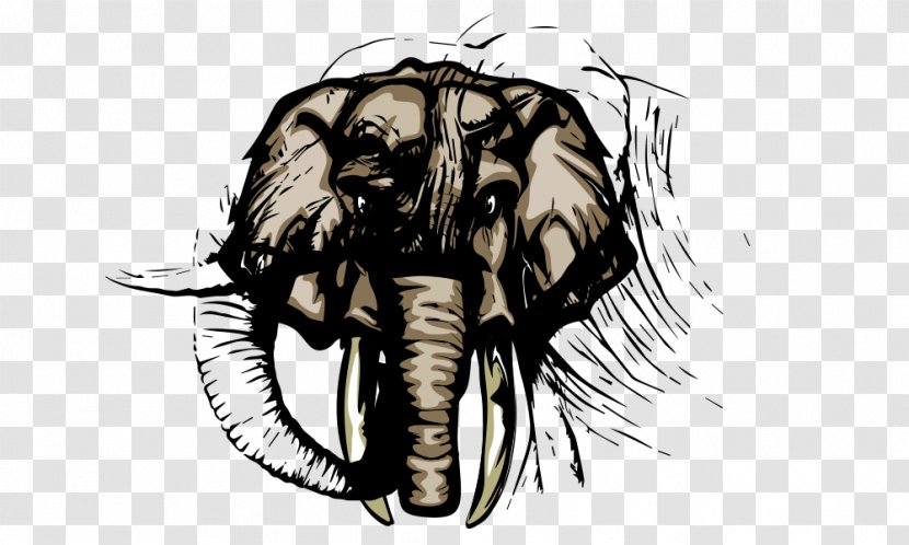 Ivory Poster Elephant Advertising Transparent PNG