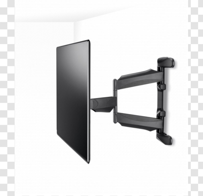 Display Size Electronic Visual Flat Panel Bird Video Electronics Standards Association - Television Set Transparent PNG