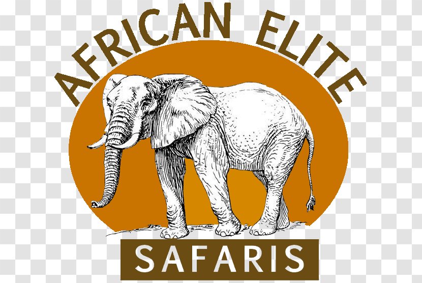 Safari Indian Elephant Hunting African Plains Game Transparent PNG