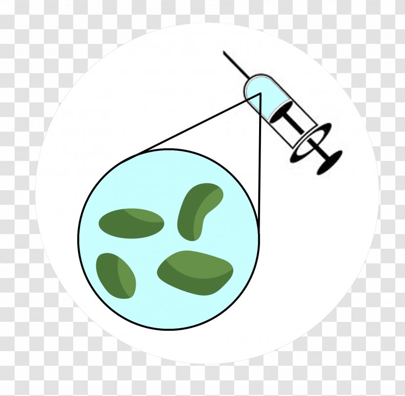Line Clip Art - Green - Langerhans Cell Transparent PNG