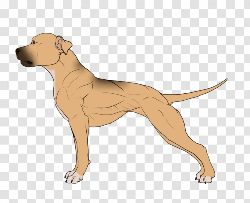 Dog Breed Non-sporting Group Leash Cartoon - Mammal - Wind Blow Transparent PNG