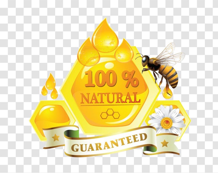 Honey Bee Honeycomb Mu0101nuka - Food Transparent PNG