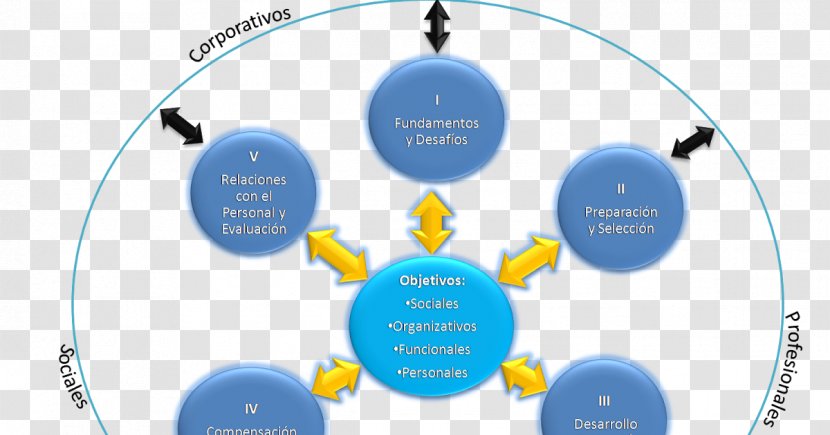 Human Resource Management System Business Administration Information - Nosy Transparent PNG