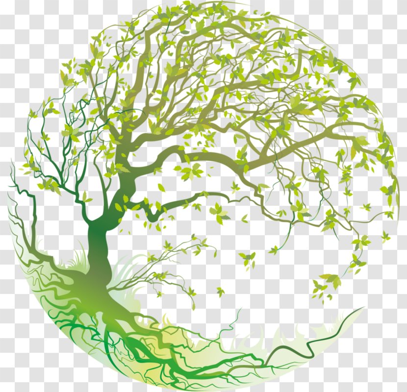 Wall Decal Sticker Season Image Solstice - Leaf - Four Tree Transparent PNG