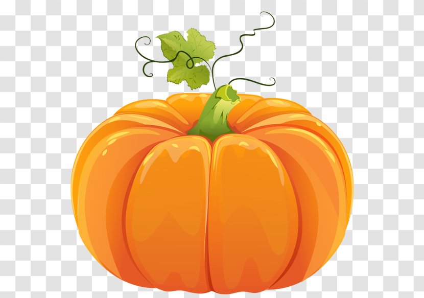 Pumpkin Cucurbita Pepo Calabaza Clip Art - Watercolor Transparent PNG