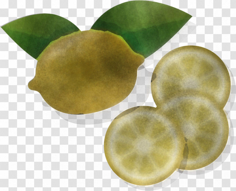 Lemon Fruit Citrus Lime Persian Lime Transparent PNG