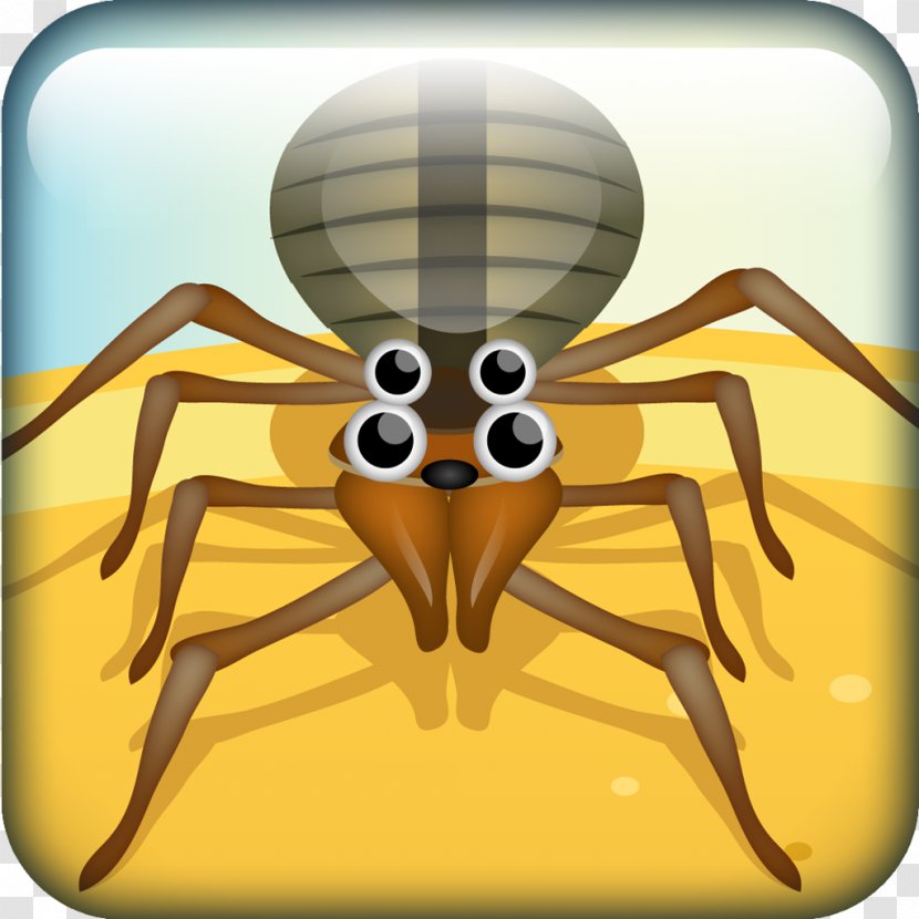 Insect Invertebrate Cartoon Pest - Bugs Transparent PNG