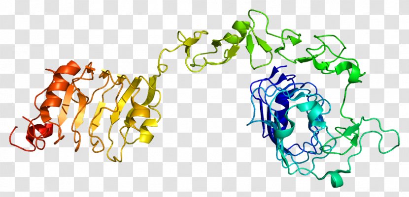 Insulin-like Growth Factor 1 Receptor Insulin - Protein - Gst Transparent PNG