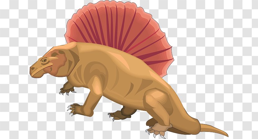 Cretaceous–Paleogene Extinction Event Dinosaur Dorsal Fin Fish Dimetrodon - Vertebral Column Transparent PNG