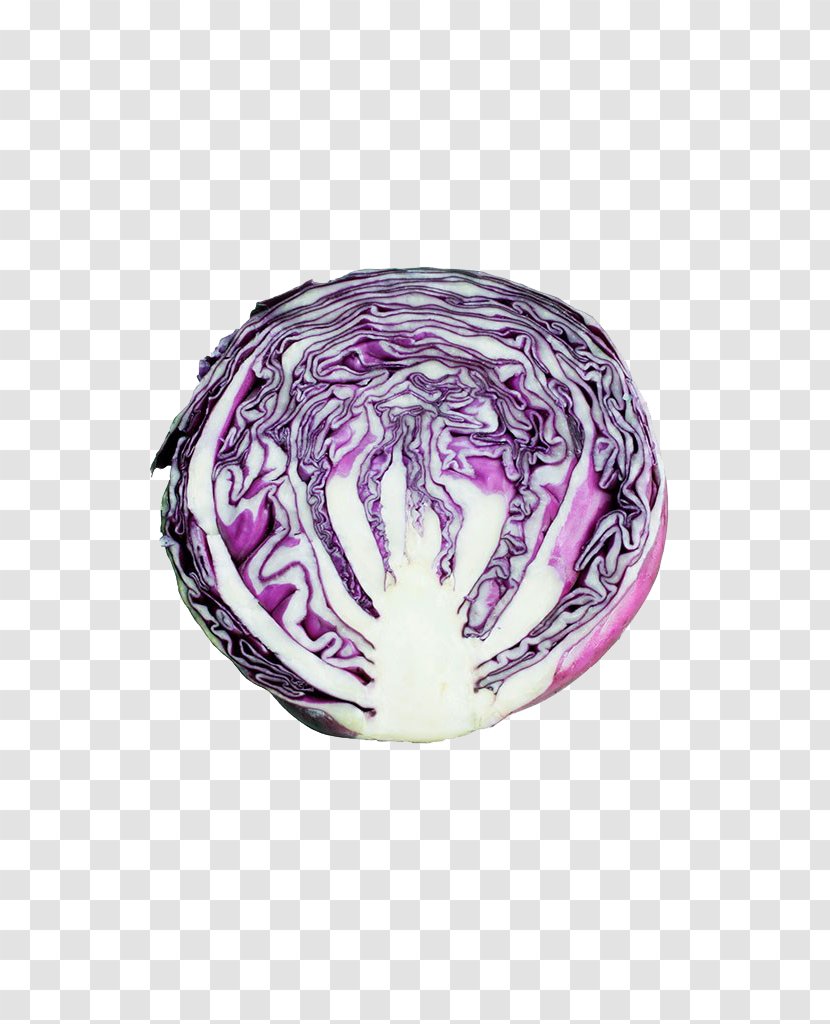 Red Cabbage Purple Vegetable Food Transparent PNG