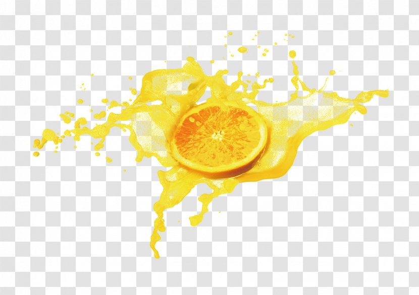 Orange Juice Citrus Xd7 Sinensis - Text - Splash Transparent PNG