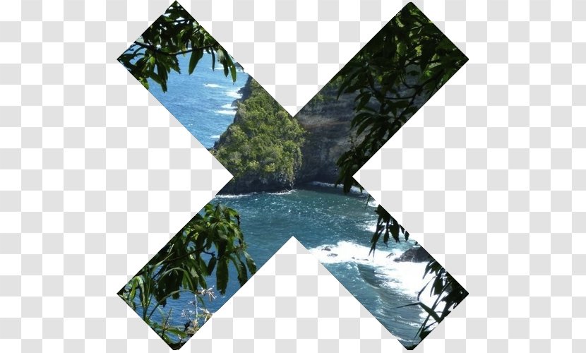 Tropics Photography The Xx Tropical Rainforest - Soft Grunge - Frangipani Transparent PNG