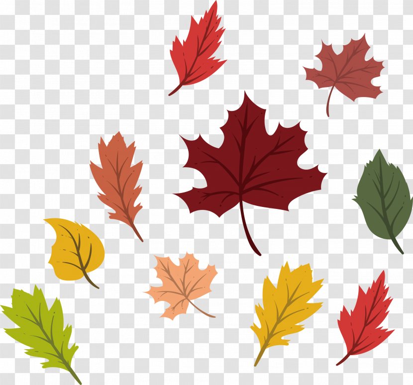 Maple Leaf Autumn Deciduous - Designer - Colorful Leaves Transparent PNG