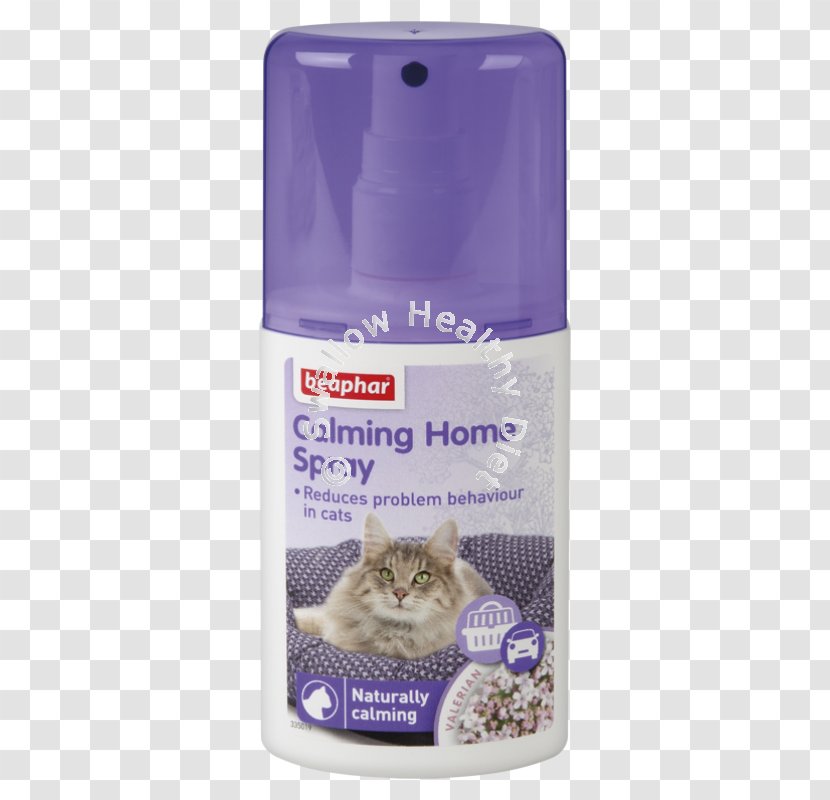 Cat Dog Kitten Pet Beaphar Calming Spray De Ambiente Para Gatos - Purple - Supplements For Anxious Cats Transparent PNG