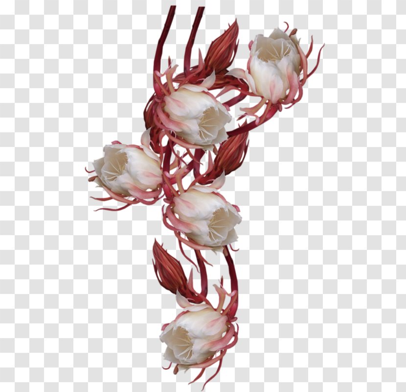 Cut Flowers Petal Flowering Plant Branching Transparent PNG