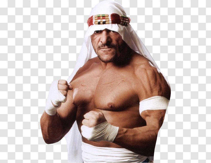 Sabu The ECW Originals Professional Wrestler Extreme Championship Wrestling - Tree - Watercolor Transparent PNG